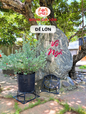 ĐẾ LỚN 30.5X12 - Ảnh 2